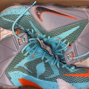 LeBron 12